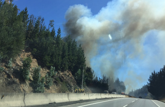 Incendio en Las Palmas deja 16 viviendas destruidas, 6 mil evacuados y 230 hectáreas consumidas