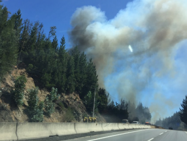 Incendio en Las Palmas deja 16 viviendas destruidas, 6 mil evacuados y 230 hectáreas consumidas