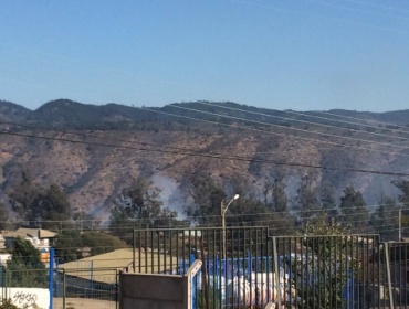 Incendio forestal se registra en Jardín Botánico de Viña del Mar