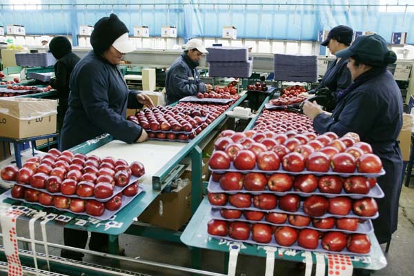 Índice de la Actividad del Comercio presentó una contracción de 1,7% en doce meses