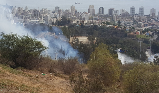 Incendio forestal se registra en el sector de Padre Hurtado en Viña del Mar