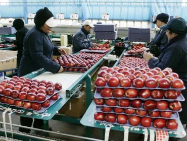 Índice de la Actividad del Comercio presentó una contracción de 1,7% en doce meses