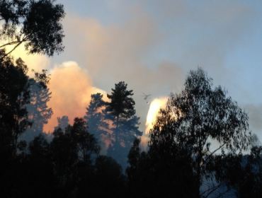 Se registra rebrote de incendio forestal en la Ruta 68 en Valparaíso