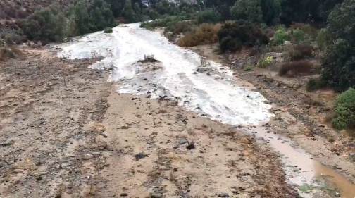 El lado positivo de la lluvia: Estero de Canela revive tras 15 años de sequía