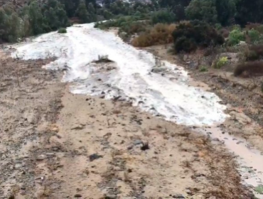 El lado positivo de la lluvia: Estero de Canela revive tras 15 años de sequía