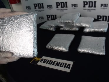 Colombiano mantenía cannabis tipo "Cripy" en conocido condominio de Arica