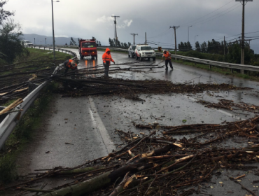 Mini Tornado causa estragos en Quillota y usuarios registran fenómeno en redes sociales