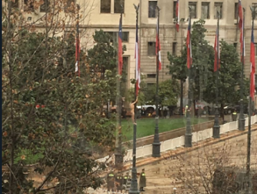 Hombre trepa desnudo el mástil de una bandera en el Palacio de La Moneda