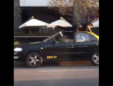 Video: Taxista atropella a un joven en las cercanías del Costanera Center