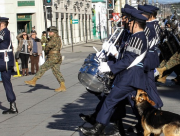 La insólita mordida de perro a un efectivo de la FACh en Punta Arenas