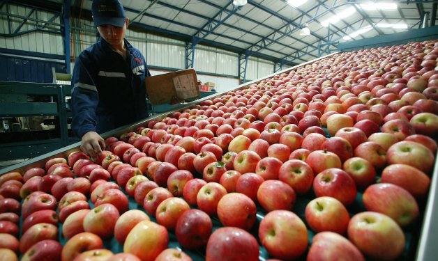 Asociación de Exportadores de Fruta se querella por espionaje informático