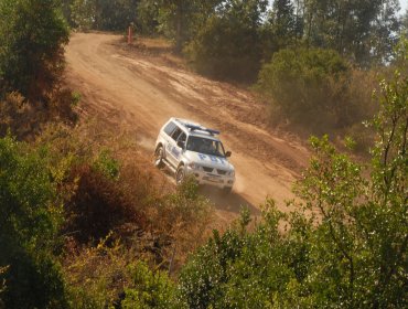 Cae banda que robaba Paltas en la zona interior de la V región