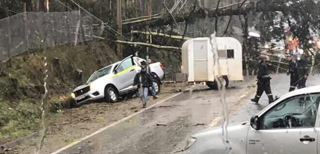 Caída de árbol sobre un vehículo deja el saldo de un fallecido en el Maule