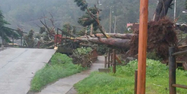 Temporal causa estragos en archipiélago Juan Fernández