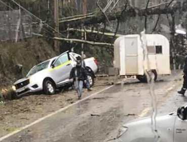 Caída de árbol sobre un vehículo deja el saldo de un fallecido en el Maule