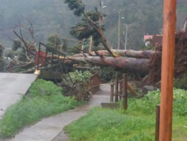 Temporal causa estragos en archipiélago Juan Fernández