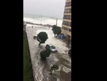 Impresionante vídeo de los daños en Viña del Mar por marejadas en sector costero