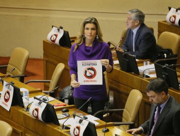 Diputada Andrea Molina pide suma urgencia a proyecto que sanciona violencia en pololeo