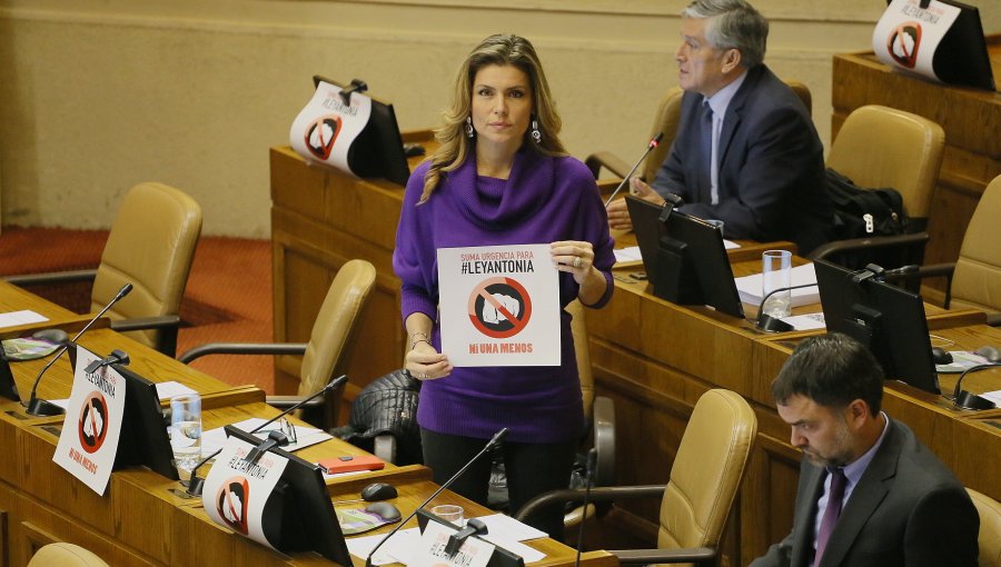 Diputada Andrea Molina pide suma urgencia a proyecto que sanciona violencia en pololeo