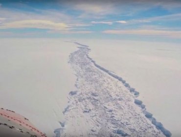 Se desprende de la Antártica el gigantesco iceberg que científicos observaban desde hace meses