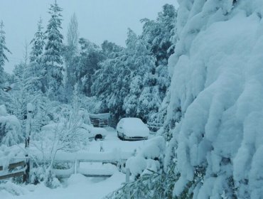 50 personas aisladas en Cajón del Maipo: Rutas cortadas afectan también a otras zonas