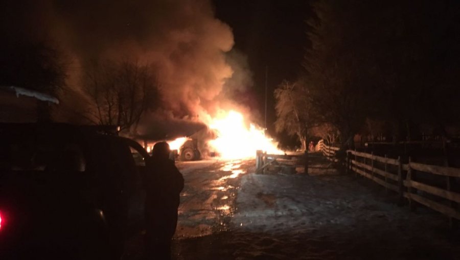 Nuevo ataque incendiario en Alto Bío Bío deja al menos 6 caballos muertos y millonarios daños