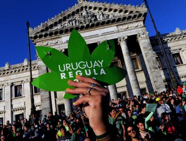 Uruguay comienza a vender marihuana en sus farmacias