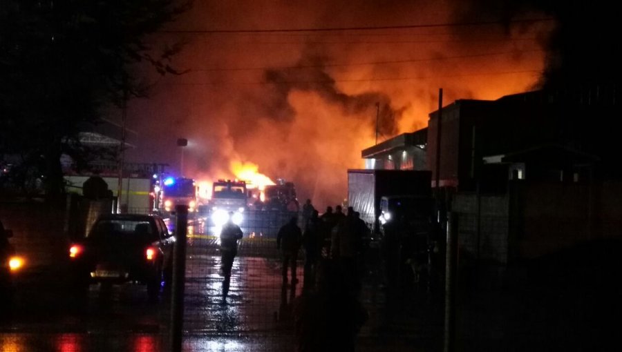 Atentado incendiario en La Araucanía: Queman 18 camiones de la empresa Luchetti