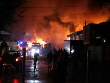 Atentado incendiario en La Araucanía: Queman 18 camiones de la empresa Luchetti