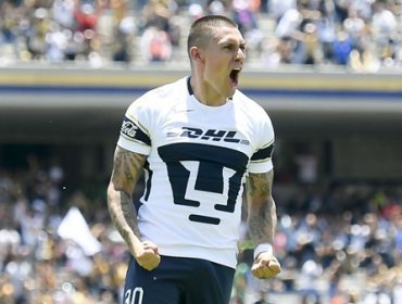 Lesionado Nicolas Castillo y podría ser baja para Chile con Ecuador