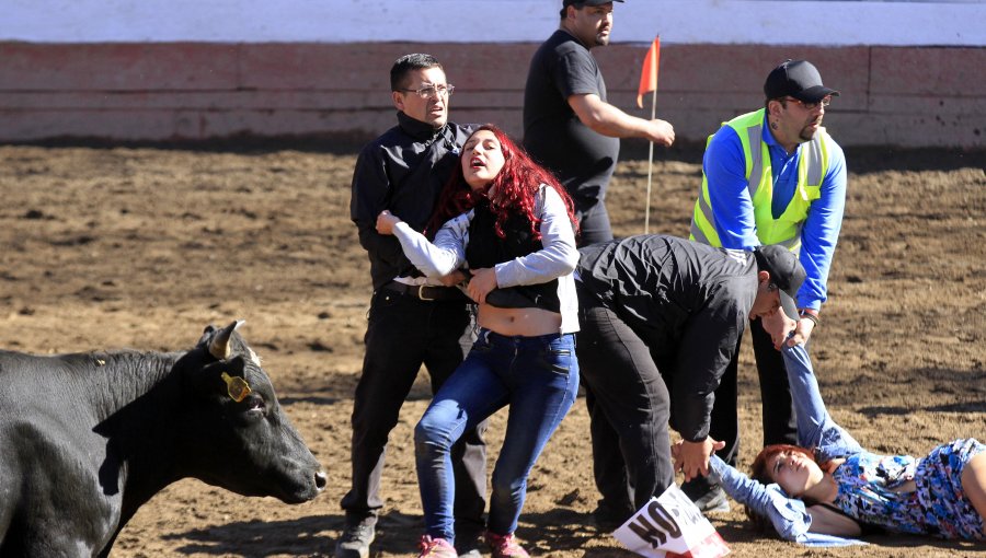 29 detenidos fue el saldo de acto en apoyo al rodeo de José Antonio Kast