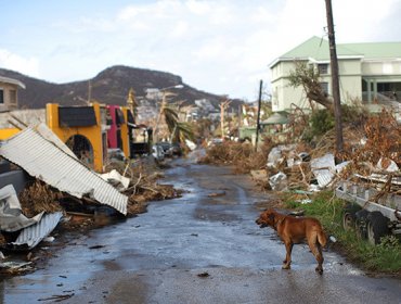 Huracán María: "Dominica ha sido devastada como Barbuda"