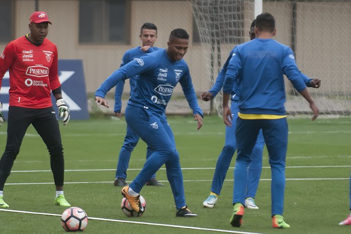 Ecuador tuvo su primera práctica en Chile de cara al crucial duelo ante la Roja