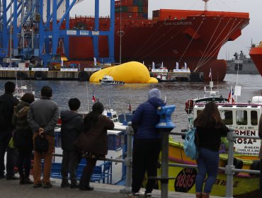 Pato de hule reaparece en bahía de Valparaíso, a pesar del aviso de marejadas