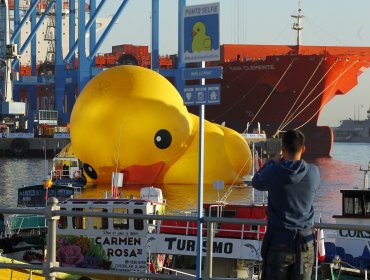 Pato gigante tuvo que ser desinflado de madrugada en Valparaíso