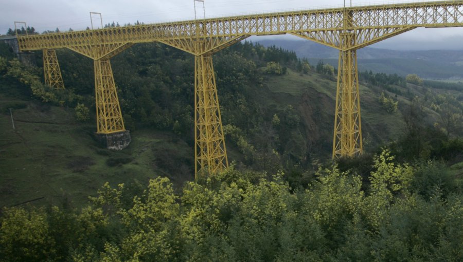 Carabineros salva la vida a joven que intentaba lanzarse del puente Malleco