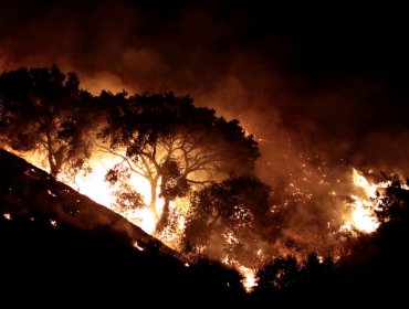 Más de 1.500 viviendas arrasadas por el fuego en el Norte de California en Estados Unidos