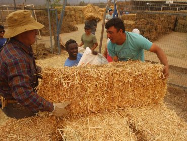 Agricultores de Ñuble reciben más de $620 millones en bonos para riego campesino