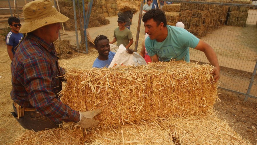 Agricultores de Ñuble reciben más de $620 millones en bonos para riego campesino