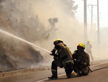 Bomberos combaten incendio en terrenos del parque Bicentenario