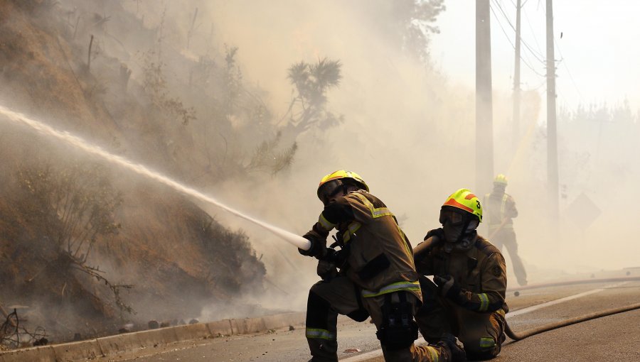 Bomberos combaten incendio en terrenos del parque Bicentenario