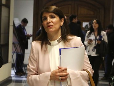 Ministra Narváez tildó propuestas de Piñera como "ambiguas y desordenadas"