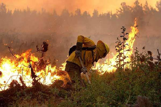 Ola de calor: Alerta Temprana preventiva por riesgo de incendios forestales