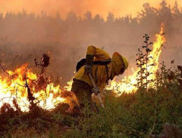 Ola de calor: Alerta Temprana preventiva por riesgo de incendios forestales