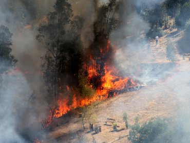 Conaf informa 10 incendios forestales extinguidos y 4 controlados