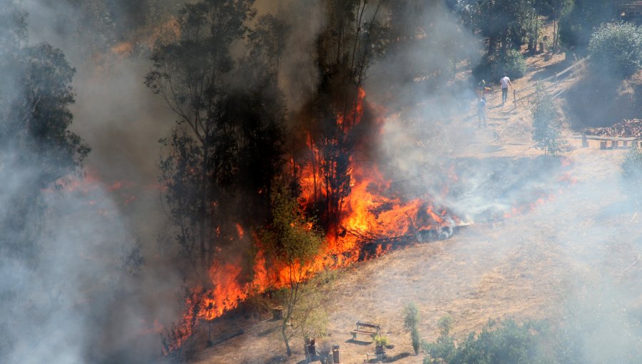 Conaf informa 10 incendios forestales extinguidos y 4 controlados