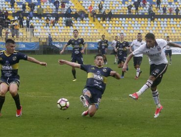 Alcaldesa de Viña del Mar pone en duda al Sausalito para clave encuentro Everton - Colo Colo