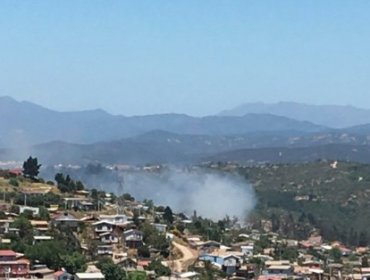 Incendio forestal consume al menos 3 hectáreas en Jardín Botánico de Viña del Mar