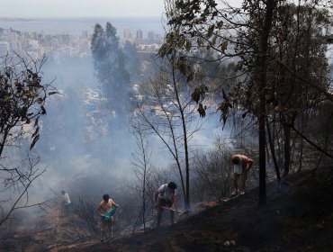 Conforman mesa provincial para prevención de incendios forestales en Marga Marga