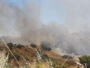 Tres focos de incendio acechan Villa Alemana: Afectan al fundo El Triangulo